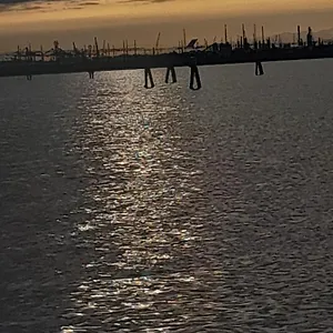 Discovery Venice